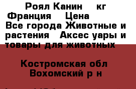  Роял Канин 20 кг Франция! › Цена ­ 3 520 - Все города Животные и растения » Аксесcуары и товары для животных   . Костромская обл.,Вохомский р-н